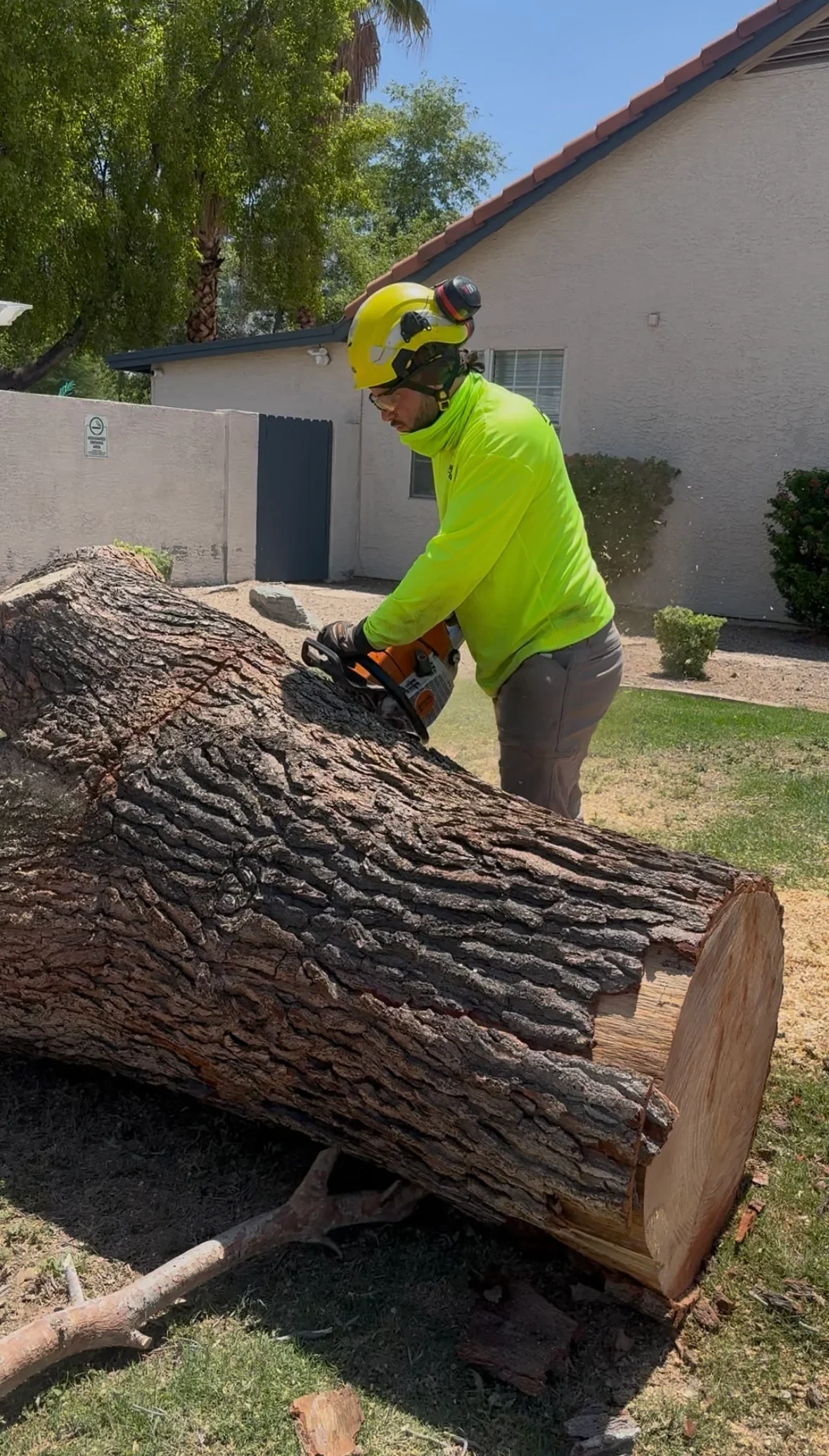 Arborist in safety gear using chainsaw to cut large tree log in residential yard