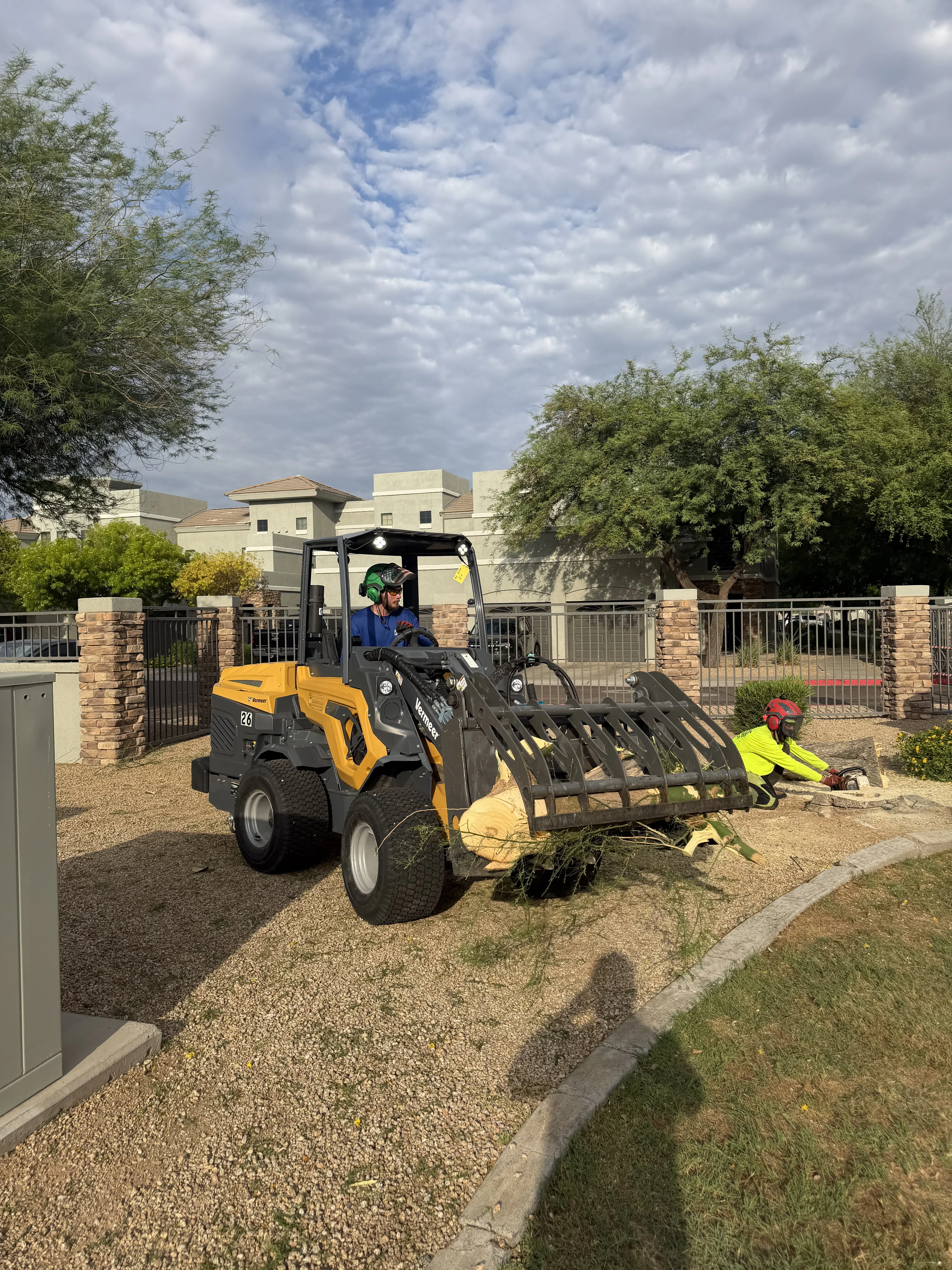 Wheel loader with grapple bucket removing tree debris from residential yard