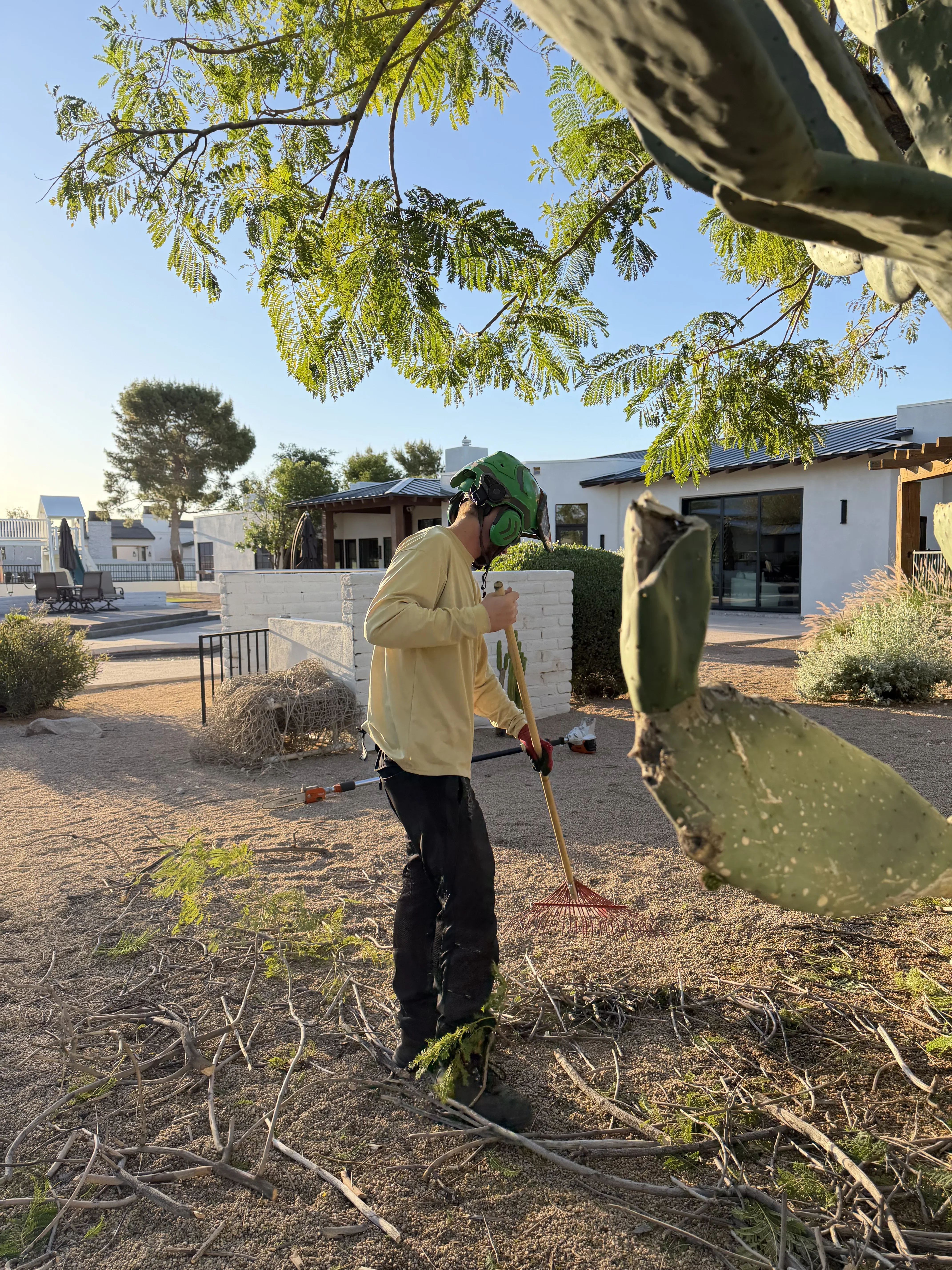 Arborist raking debris and dead vegetation from residential landscape beds near white brick wall