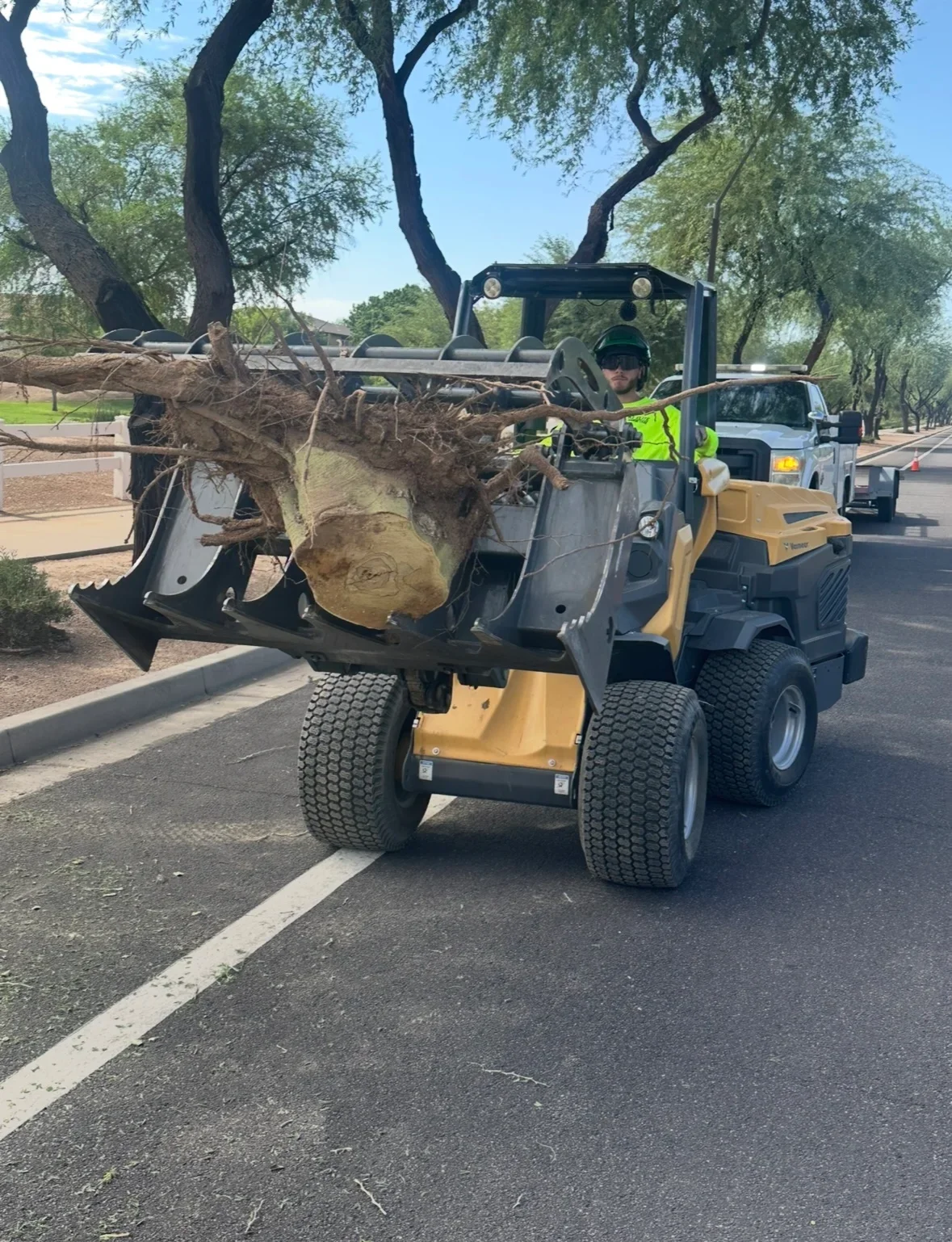 Compact track loader with grapple bucket removing large tree with root ball