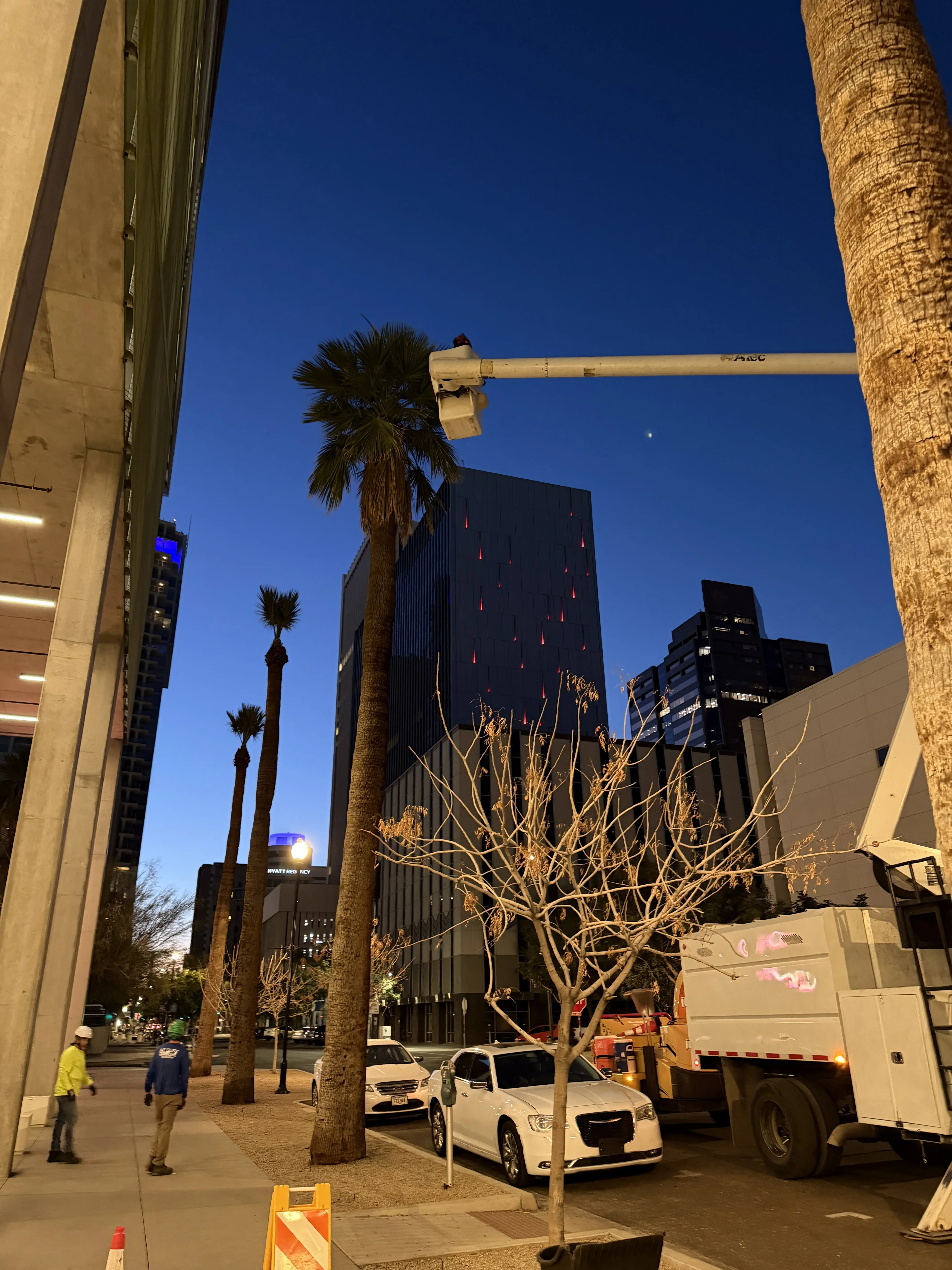 Large tree removal in urban downtown setting with crane equipment and traffic control barriers