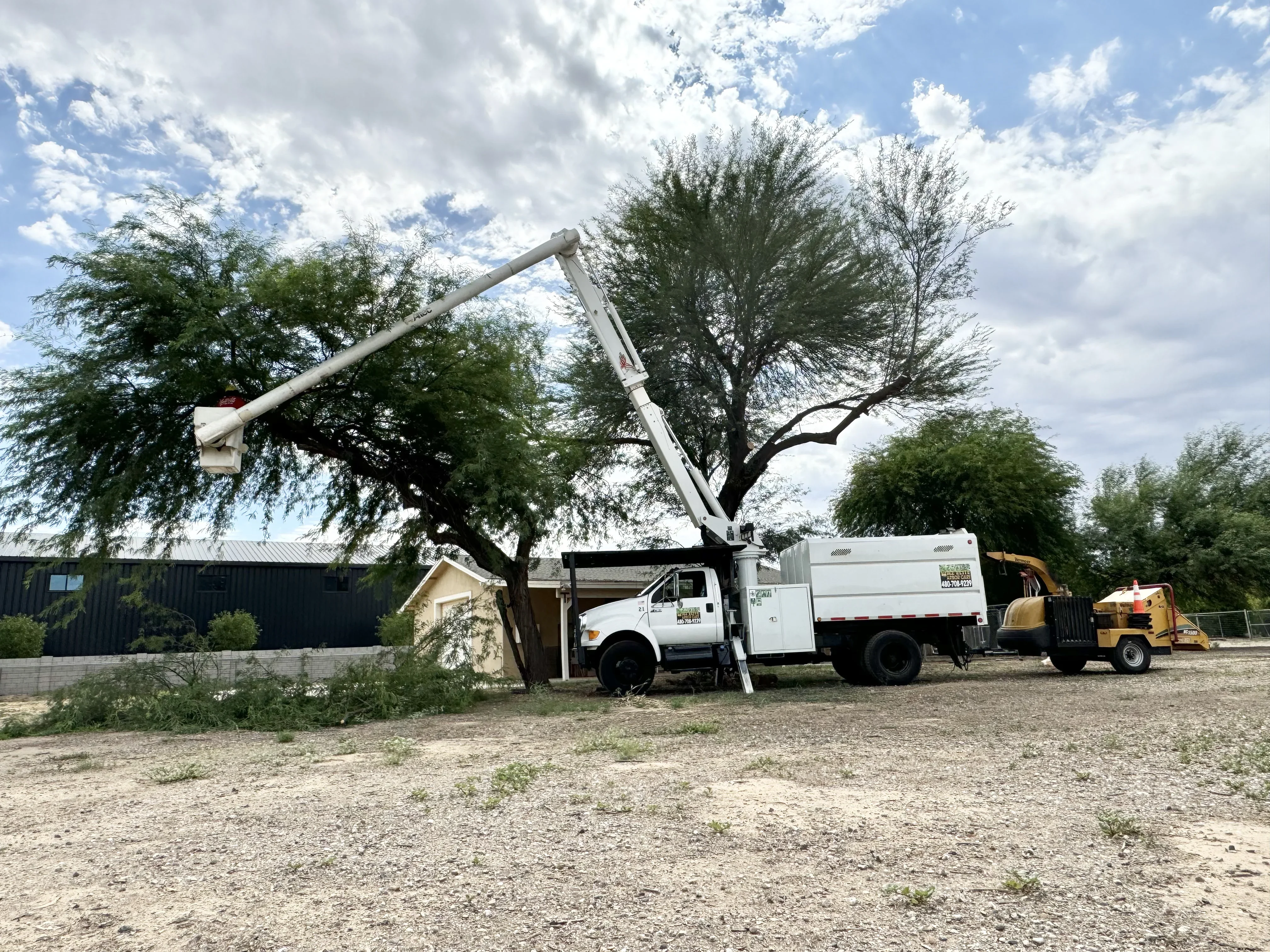Bucket truck with extended boom removing large tree limbs, crane equipment on standby