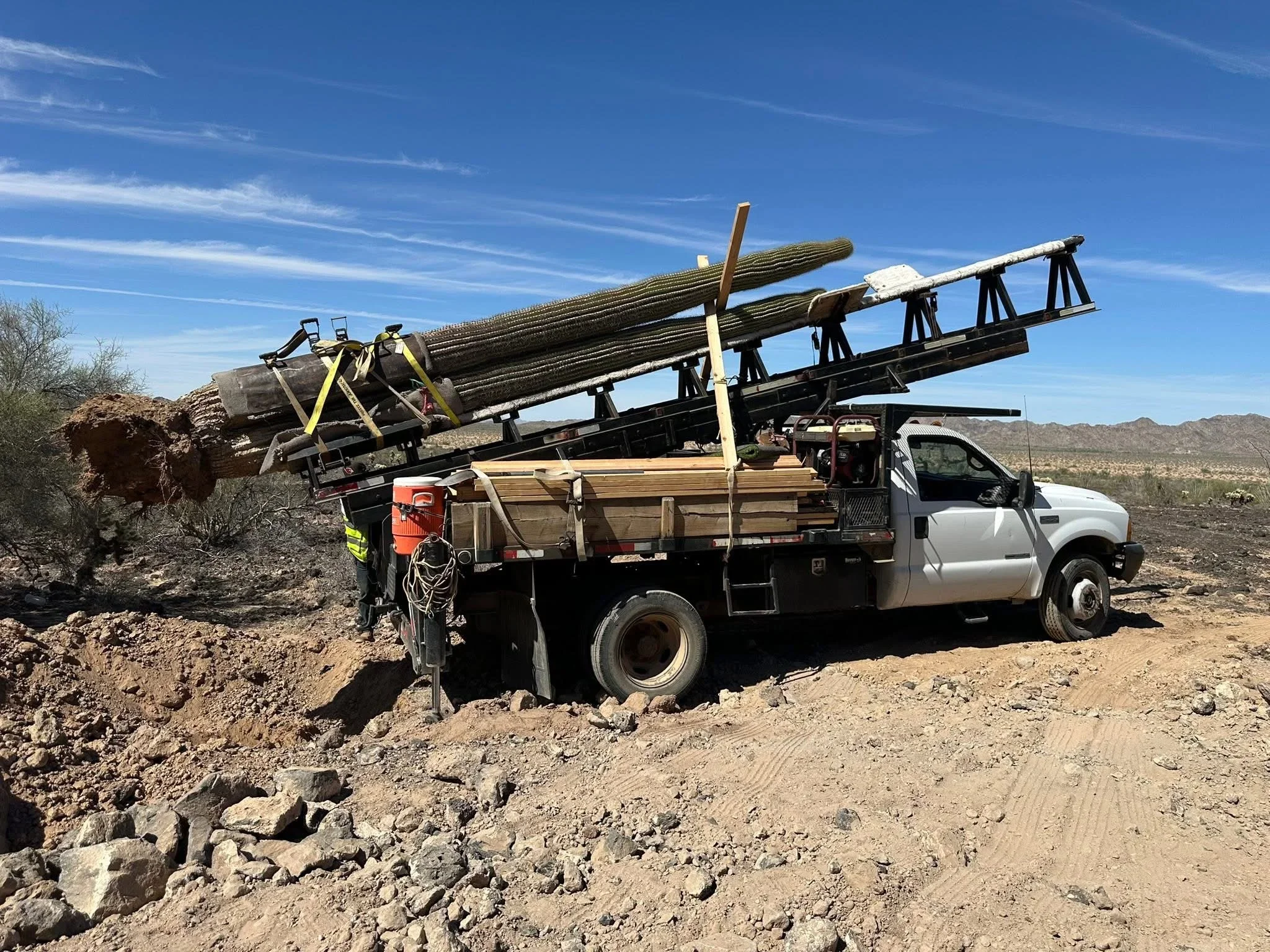 Flatbed truck with hydraulic boom loaded with large diameter logs and tree sections
