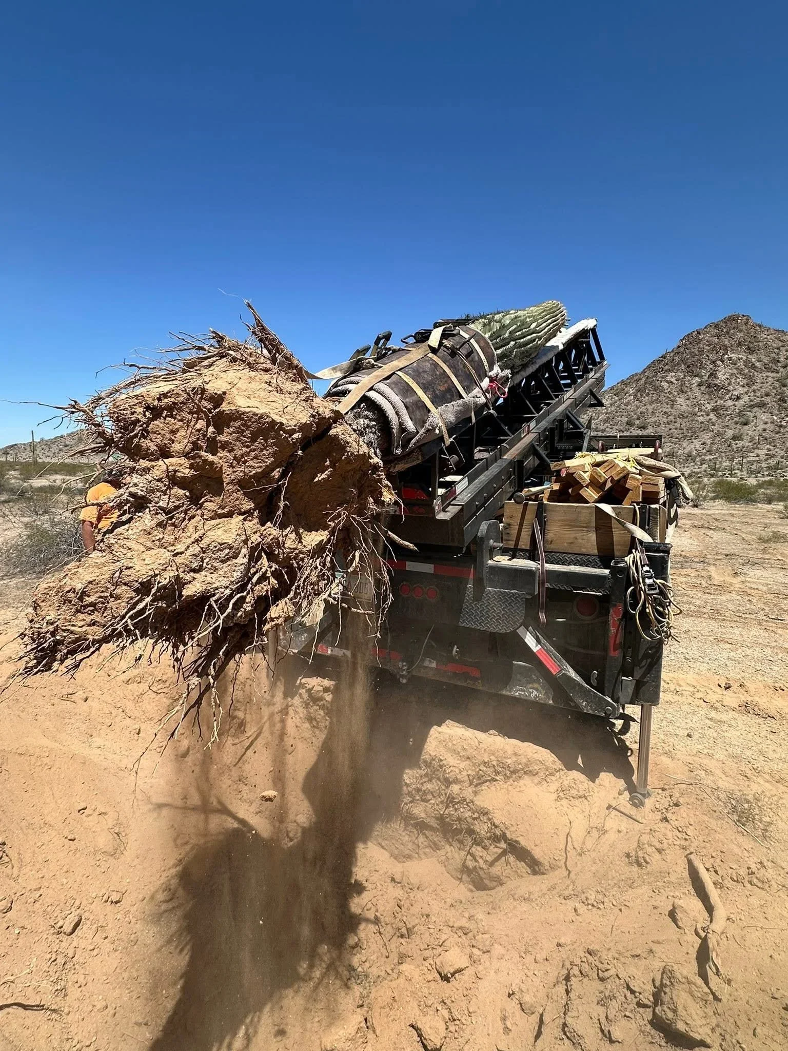 Hydraulic truck loading large uprooted tree with root ball onto debris hauler